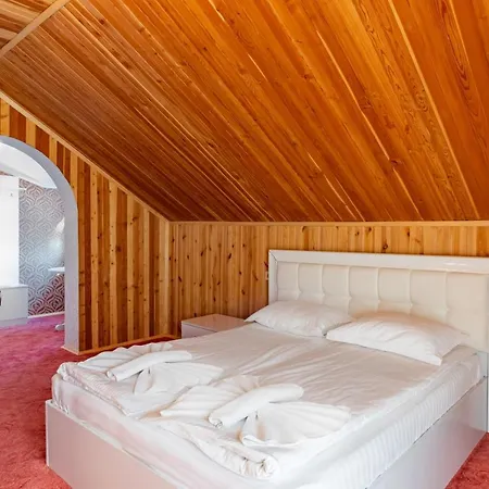 Guest house Zeleniy Bir 3*