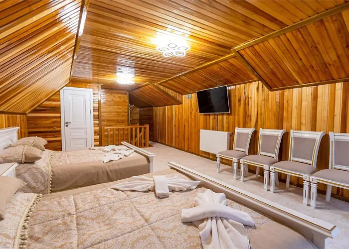 Zeleniy Bir Penzion 3*